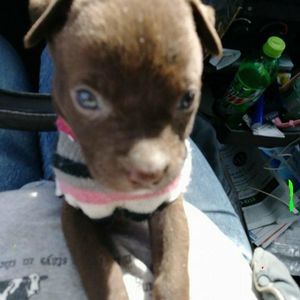 Meet your Posher, Donnie